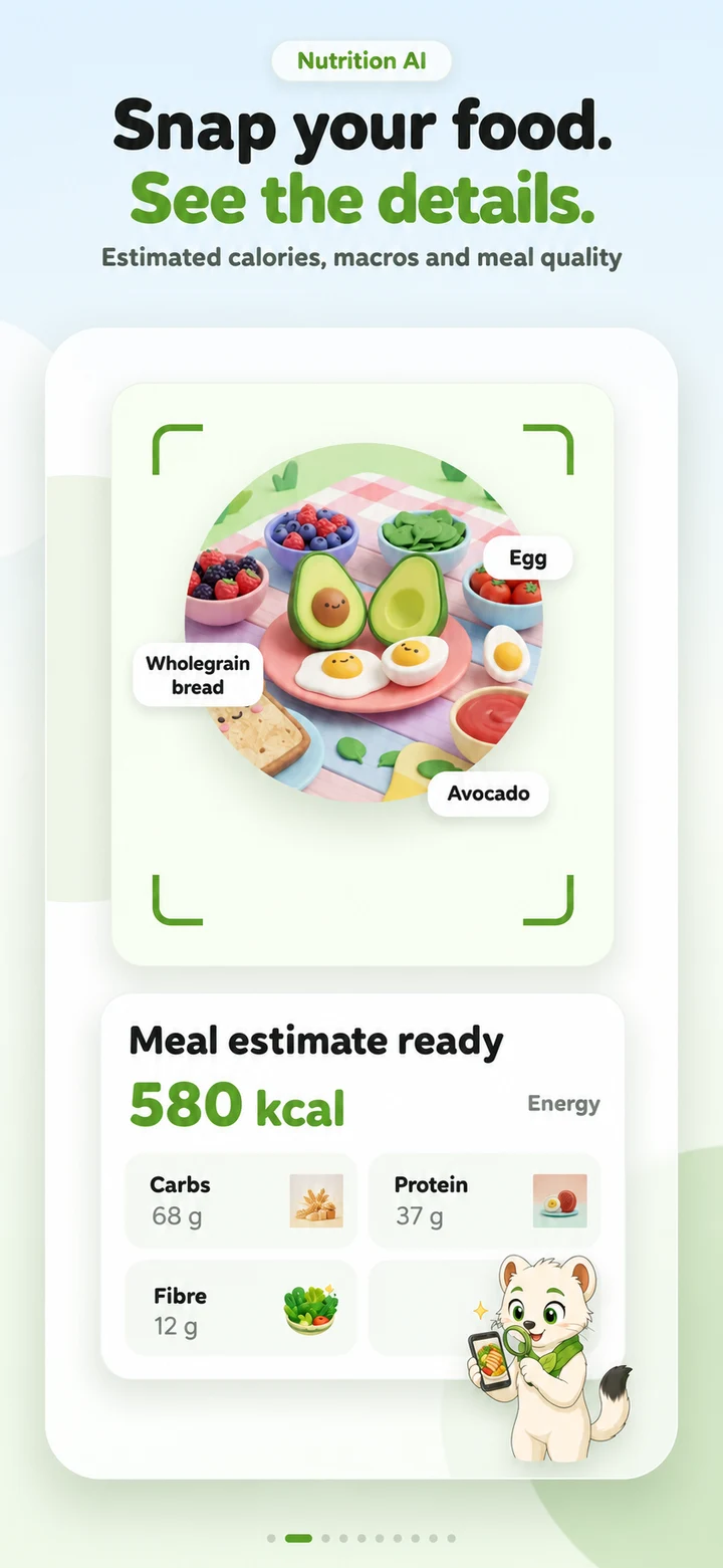 Illustrated preview: Photo food logging